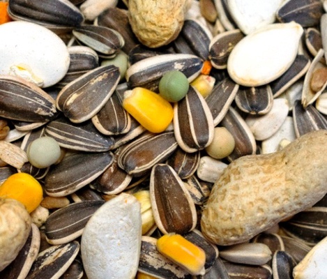 Mixtura Loros y Cotorras 4 kg